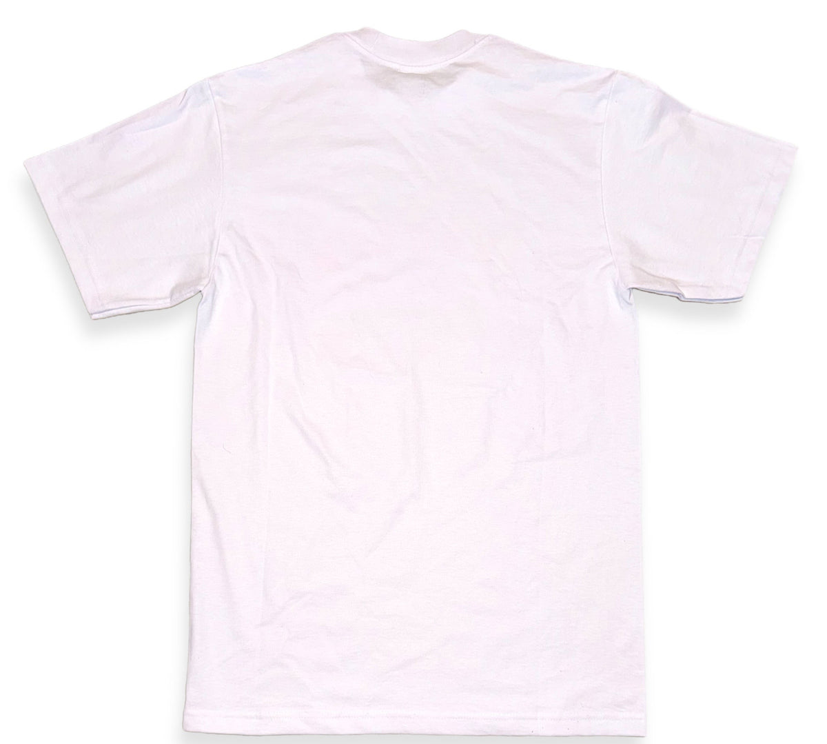 TBITFW VARSITY TEE (WHITE)